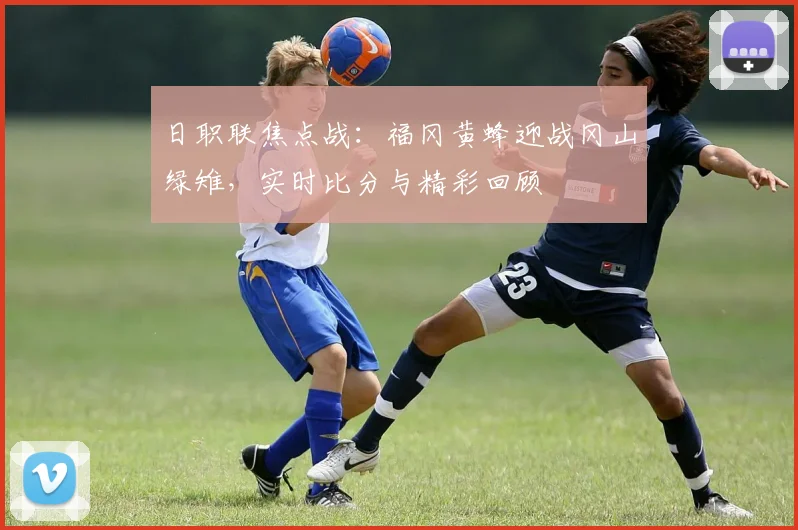 日职联焦点战:福冈黄蜂迎战冈山绿雉,实时比分与精彩回顾