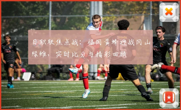 日职联焦点战：福冈黄蜂迎战冈山绿雉，实时比分与精彩回顾