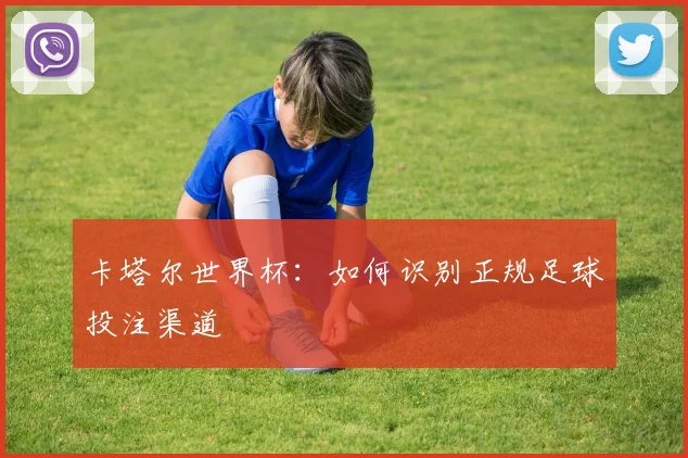 卡塔尔世界杯：如何识别正规足球投注渠道