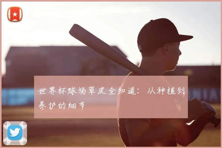 世界杯球场草皮全知道:从种植到养护的细节