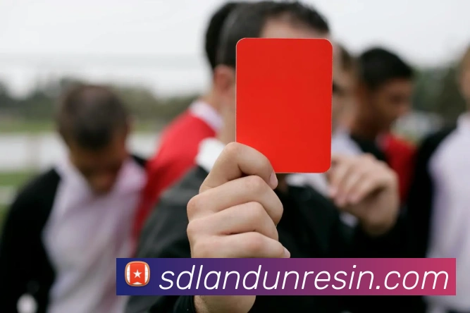 欧宝官方网站入口平台生态图